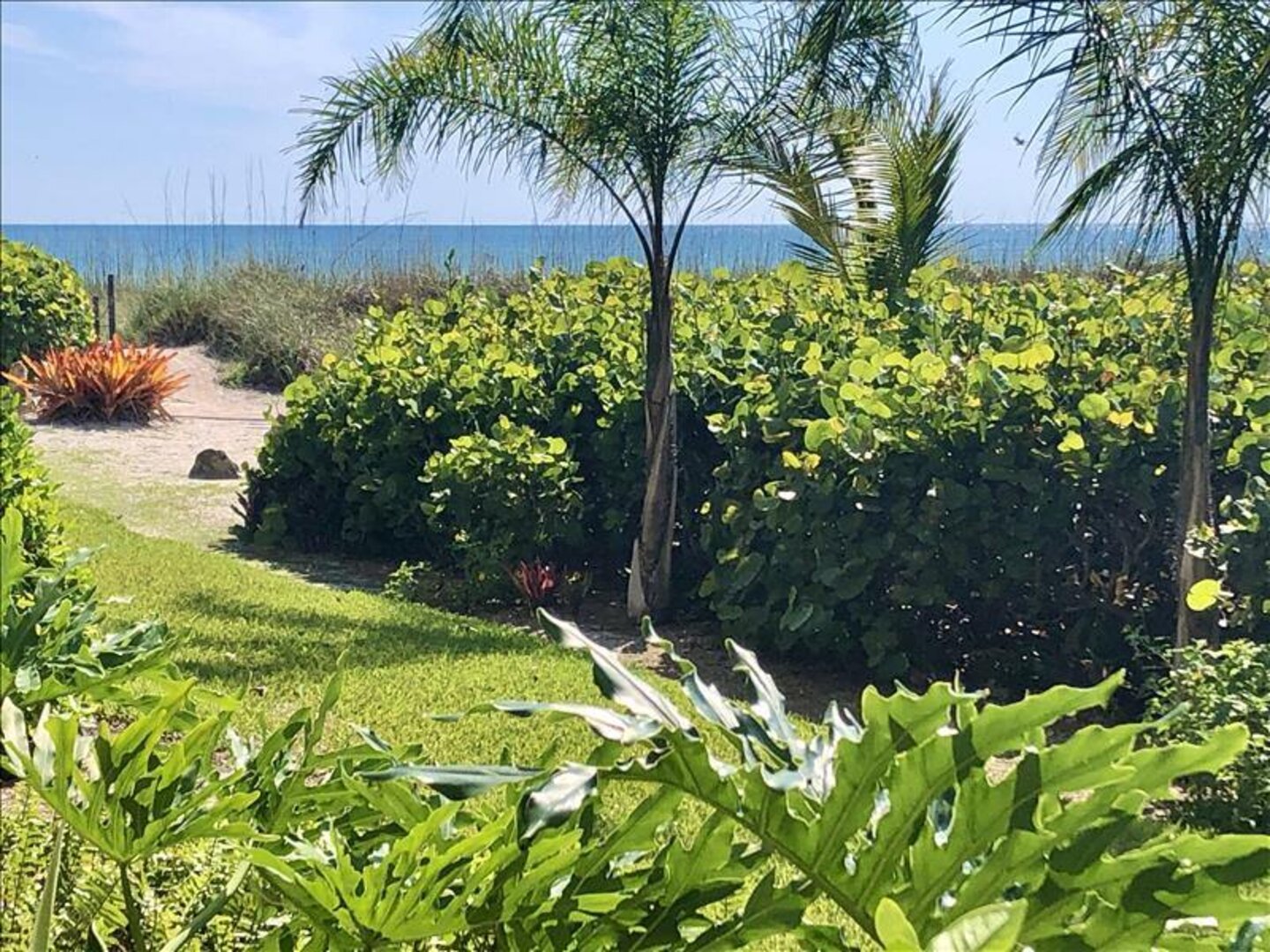 Grounds and beach view