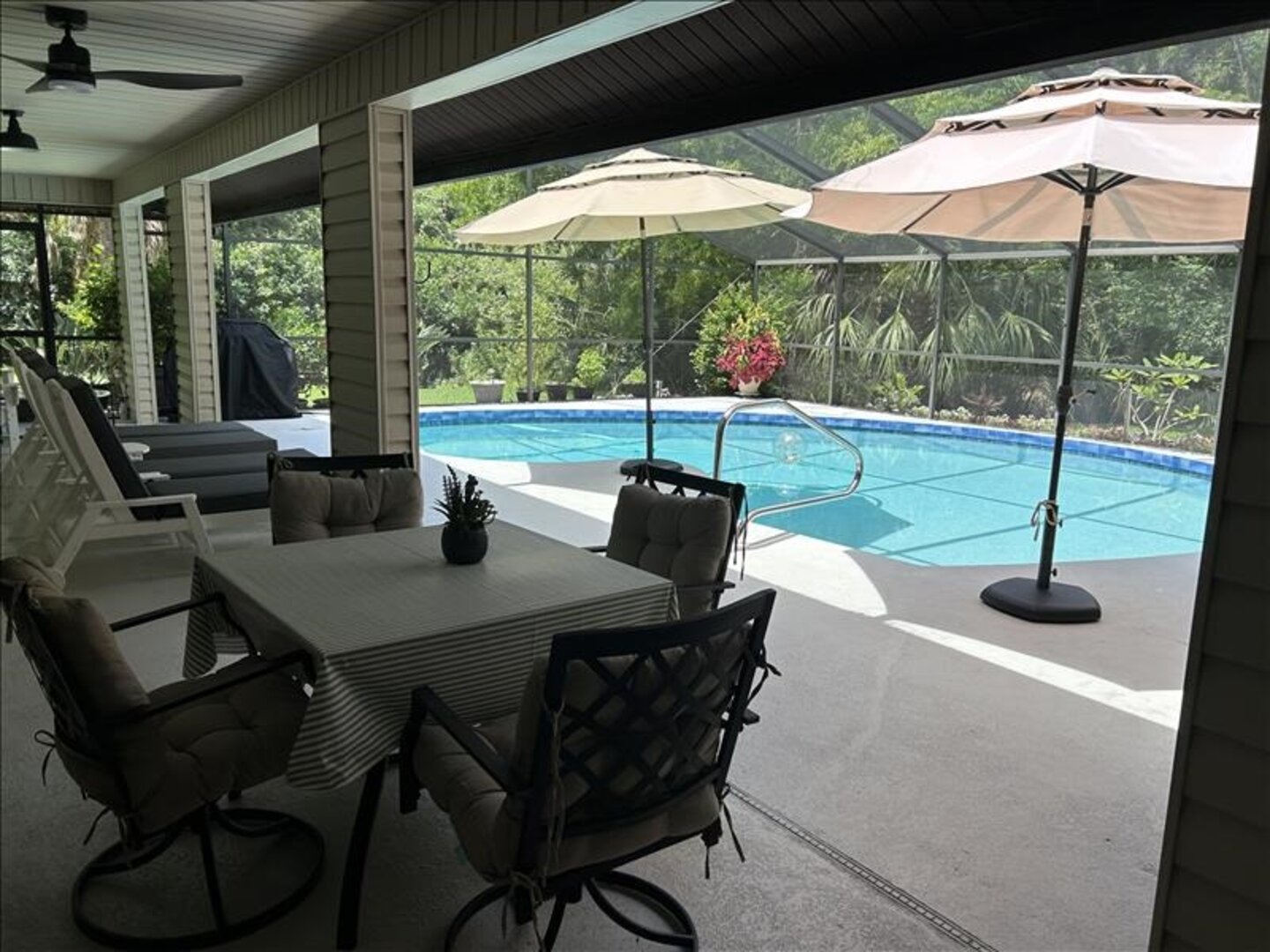 Outdoor Oasis